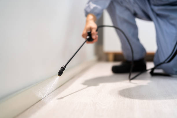 Licensed Rodent Control service in East Palestine, OH - Nex Pest Control