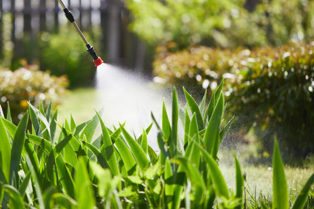 24/7 Emergency Rodent Control experts in East Palestine, OH