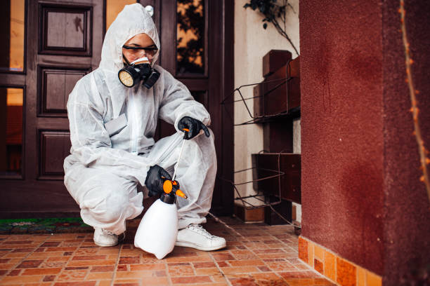 Reliable Rodent Control contractor in East Palestine, OH by Nex Pest Control