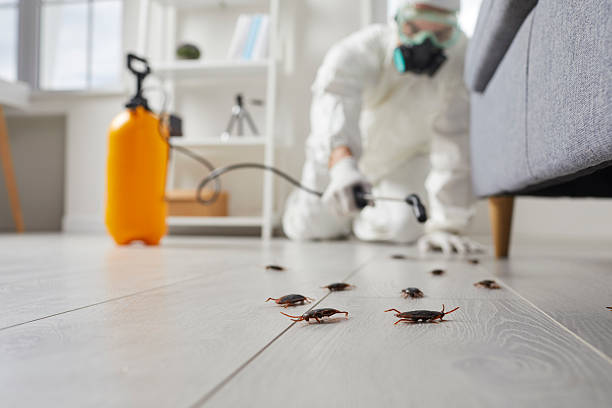 Trusted Rodent Control service in East Palestine, OH - Nex Pest Control