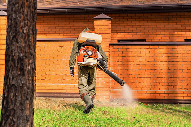 Trusted Emergency Pest Control service in East Palestine, OH - Nex Pest Control
